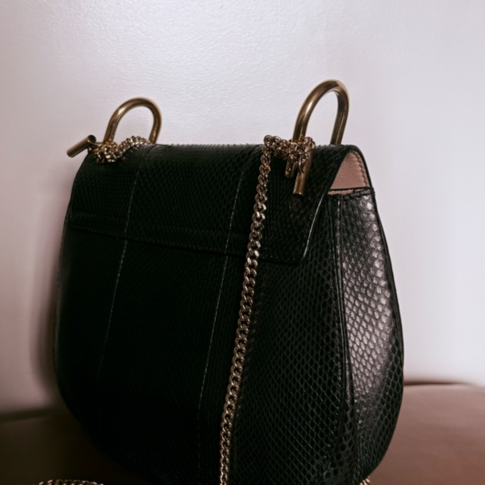 Chlo Drew Python Shoulder Bag - image 7